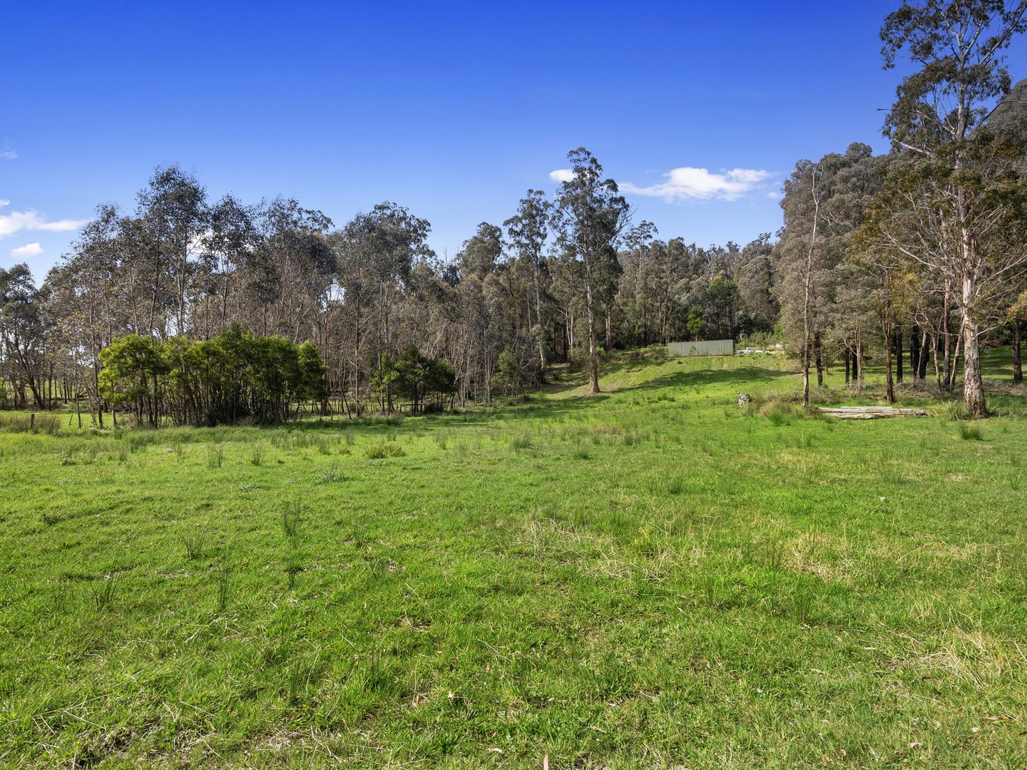 1301 Maroondah Highway, Narbethong VIC 3778, Image 1