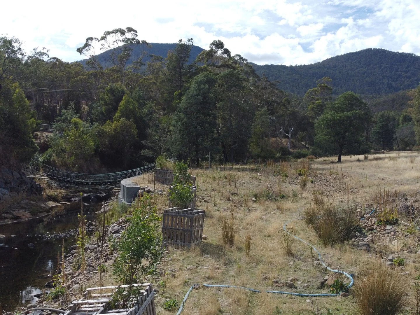 Image 13