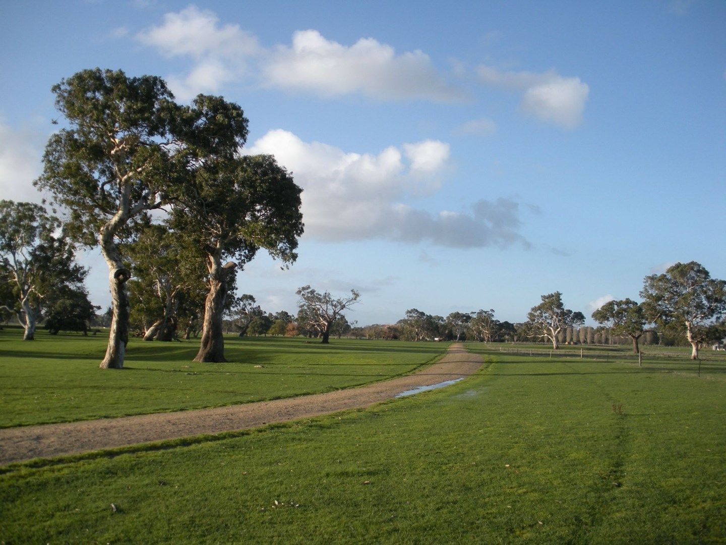 1203 Old Kalangadoo-Penola Road, Monbulla, Monbulla SA 5277, Image 0