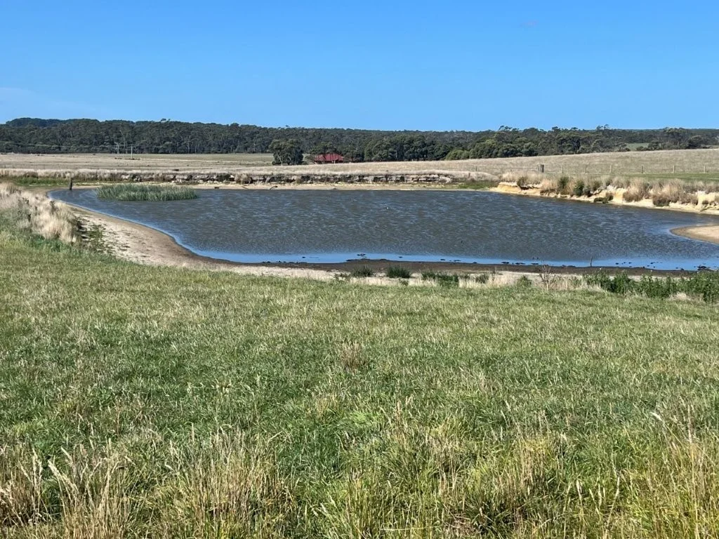 559 North Ansons Road, Gladstone TAS 7264