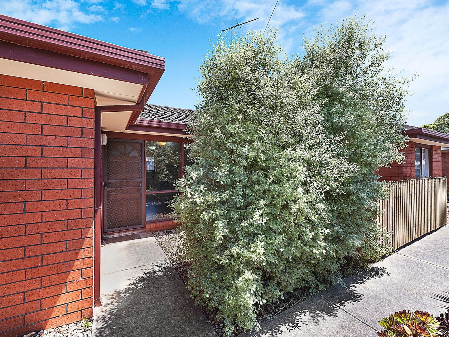 3/30 Matlock Street, Herne Hill VIC 3218, Image 1