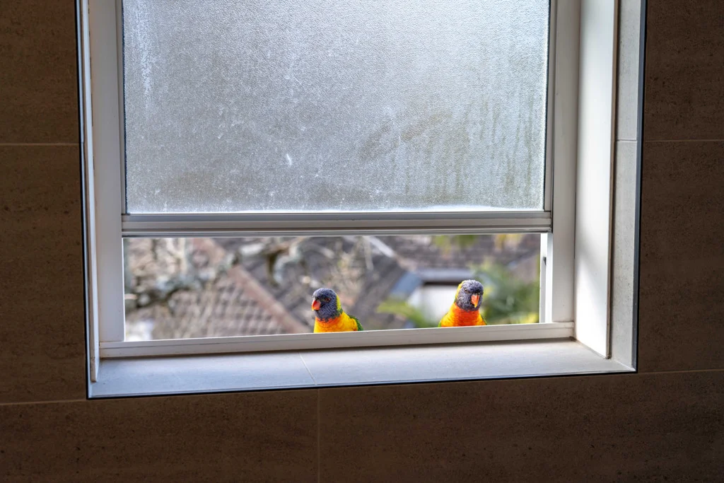 Additional image 7 of 16/16-18 Roslyn Gardens, Elizabeth Bay NSW 2011