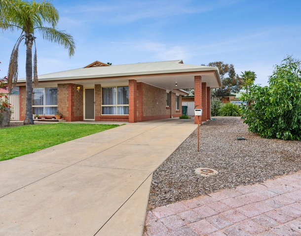 3 Lagoon Court, Renmark SA 5341