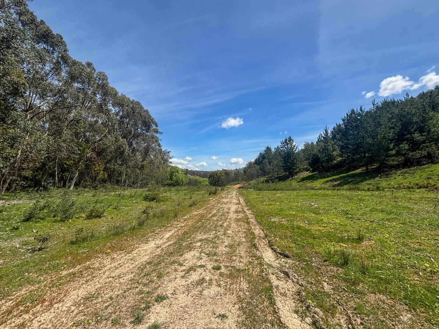 Additional image 7 of 259 Hells Hole Creek Road, Bonnie Doon VIC 3720