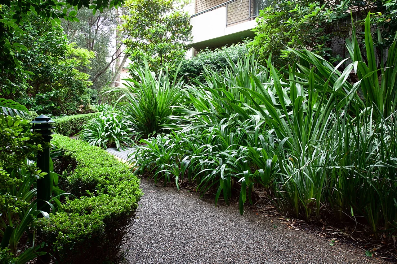 Additional image 33 of Darlinghurst NSW 2010