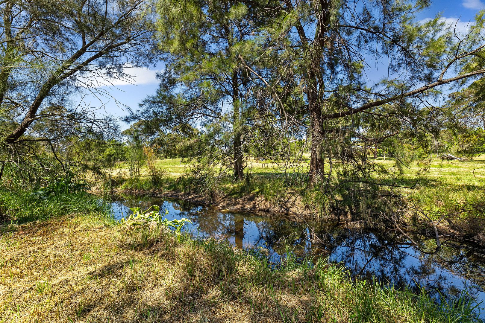 15 Patterson Close, Moruya NSW 2537, Image 2