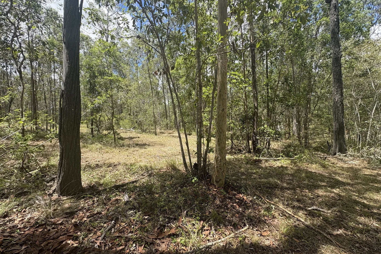 Additional image 4 of Lot 532 Arbornineteen Road, Glenwood QLD 4570