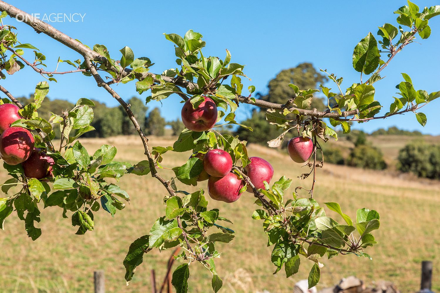 1289 Murchison Highway, Yolla TAS 7325, Image 1