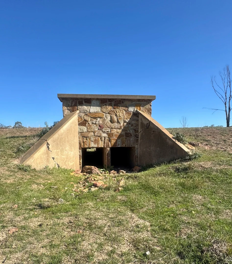 Image 6
