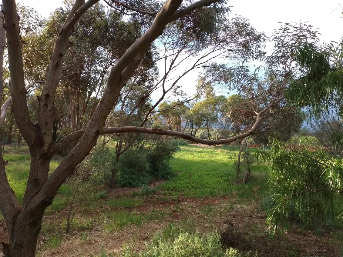 Additional image 35 of 68 Freebairn Road, Quorn SA 5433