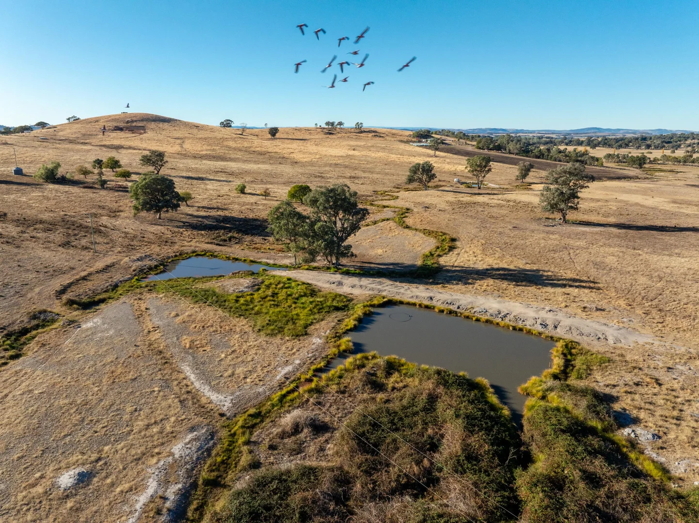 Additional image 12 of 841 Big Springs Road, Wagga Wagga NSW 2650