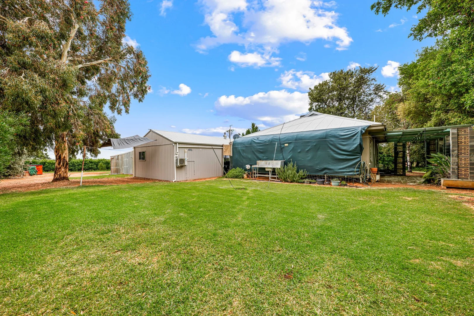 Additional image 27 of 199 Pumps Road, Red Cliffs VIC 3496