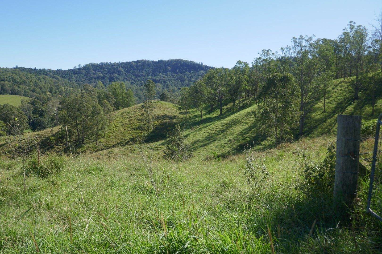 Lot 12 Ghinni Ghi Road, Kyogle NSW 2474, Image 1