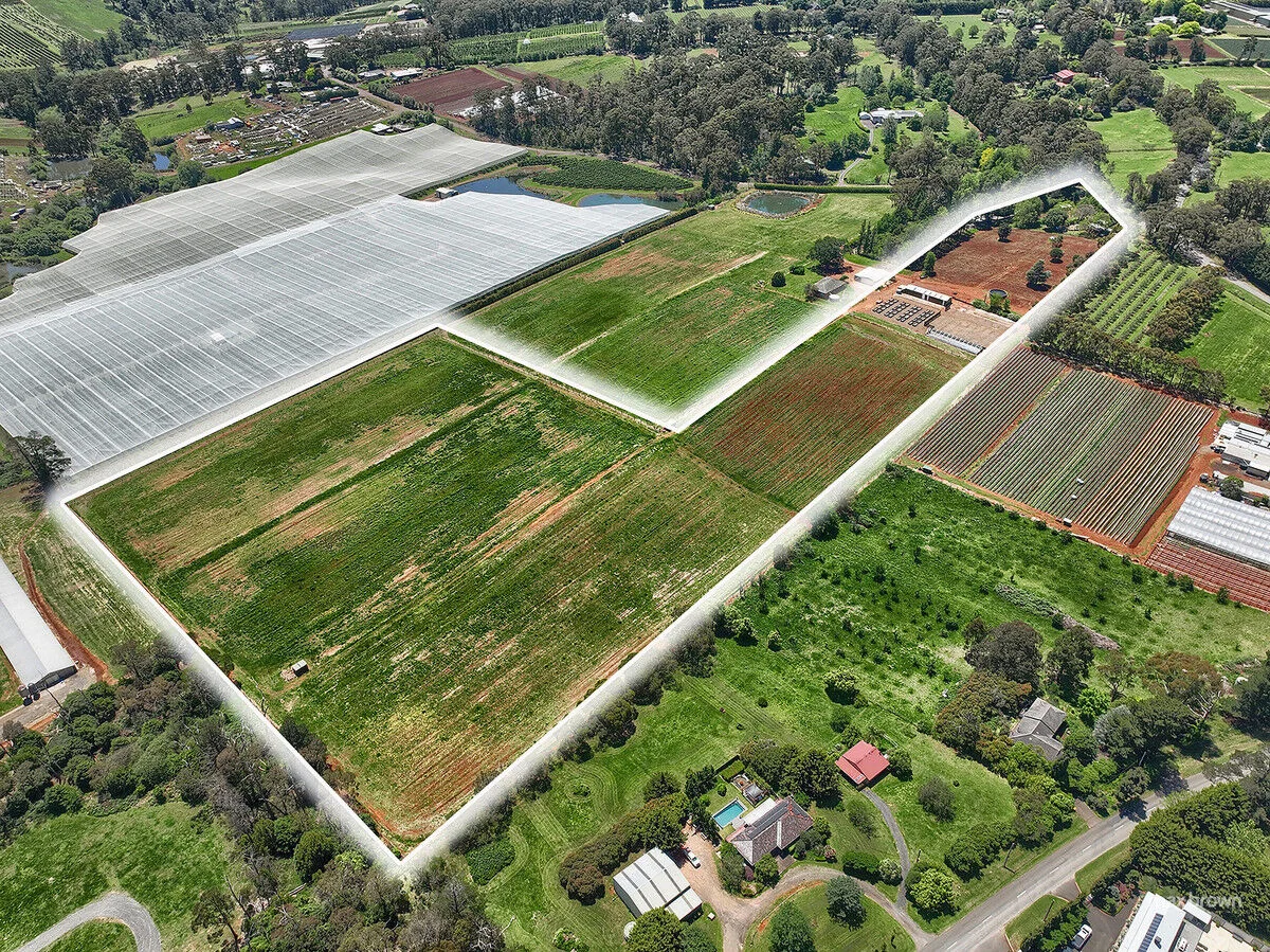 Image 28
