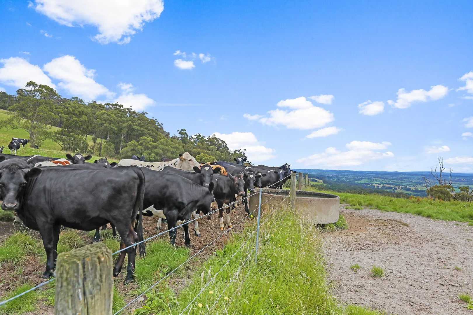 Additional image 22 of 244 Mirboo North-Trafalgar Road, Trafalgar South VIC 3824