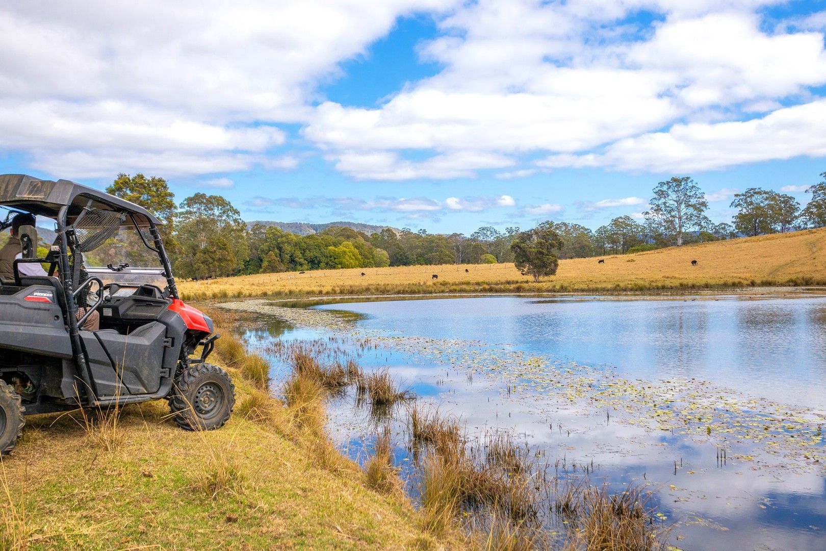 1276 Manning Hill Road, Bunyah NSW 2429, Image 0