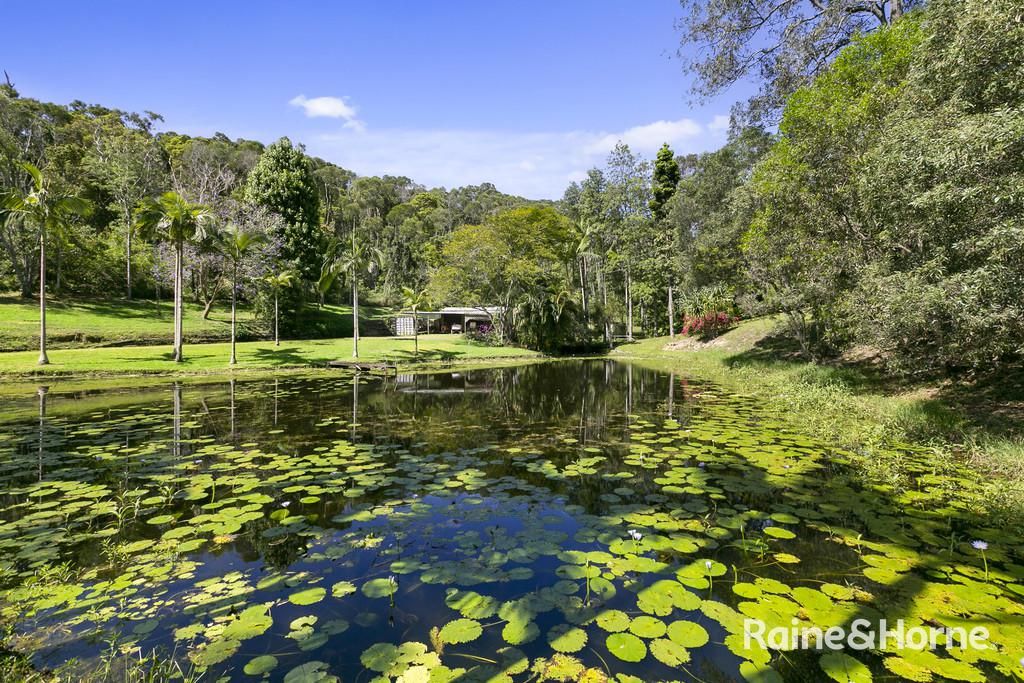 320 Schreibers Road, Cooran QLD 4569, Image 2