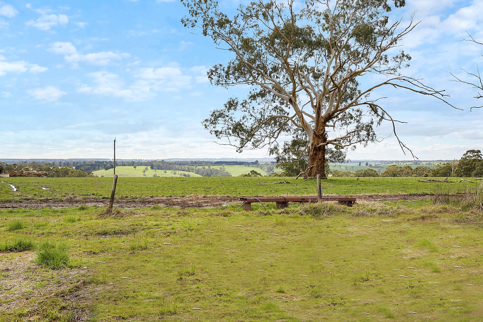 460 Old Port Campbell Road, Jancourt East VIC 3266, Image 2