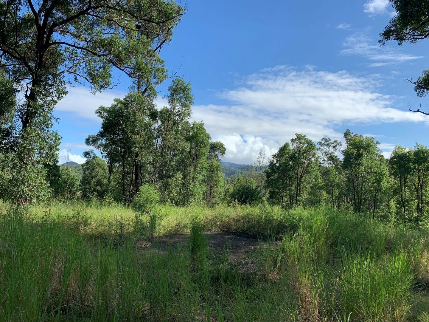 6a Wilsons Lane, Hickeys Creek NSW 2440 House for Sale 350,000