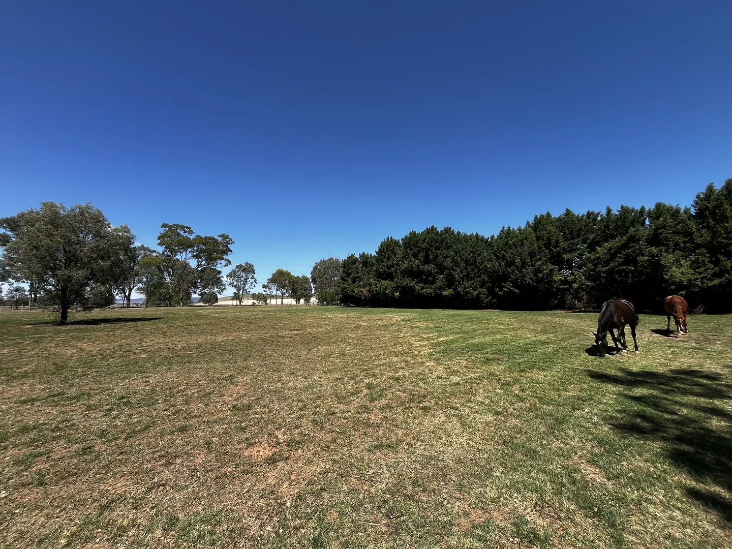 Additional image 10 of Lots 182, 183, 184 Morongla Road, Cowra NSW 2794