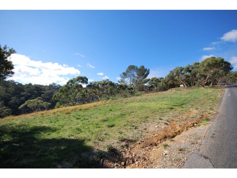 75 Woodland Way, Teringie SA 5072, Image 2