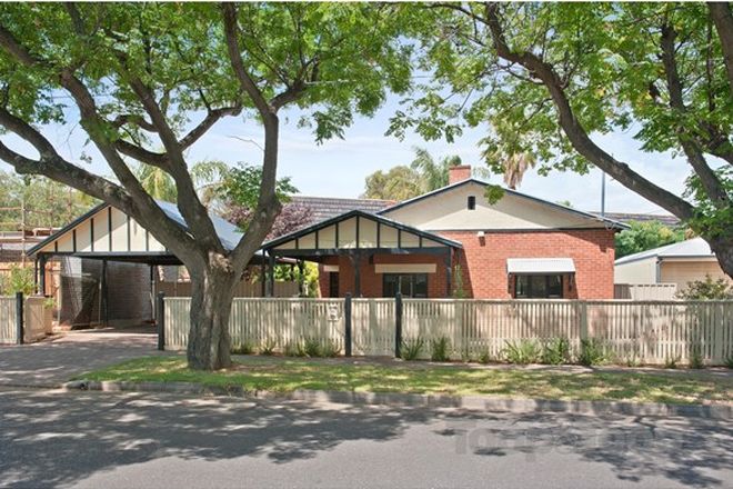 Picture of 19 D'Erlanger Avenue, COLLINSWOOD SA 5081