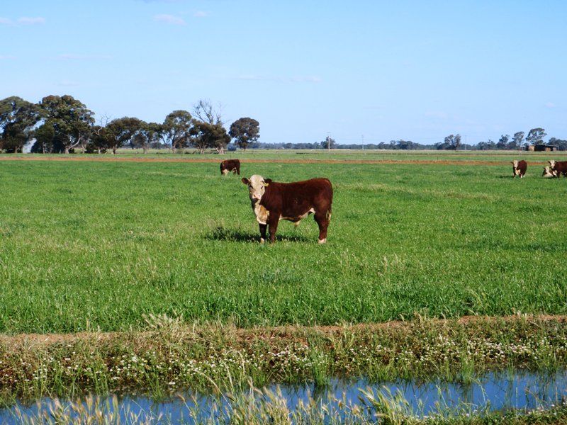 Riverina Highway, Berrigan NSW 2712, Image 0