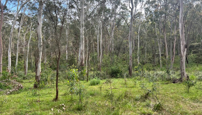Picture of Lot 79 Littlewood Road, NORTH ROTHBURY NSW 2335