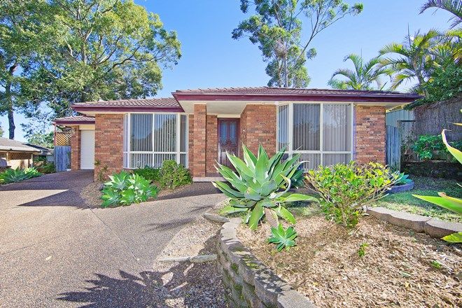 Picture of 6 Toona Way, GLENNING VALLEY NSW 2261