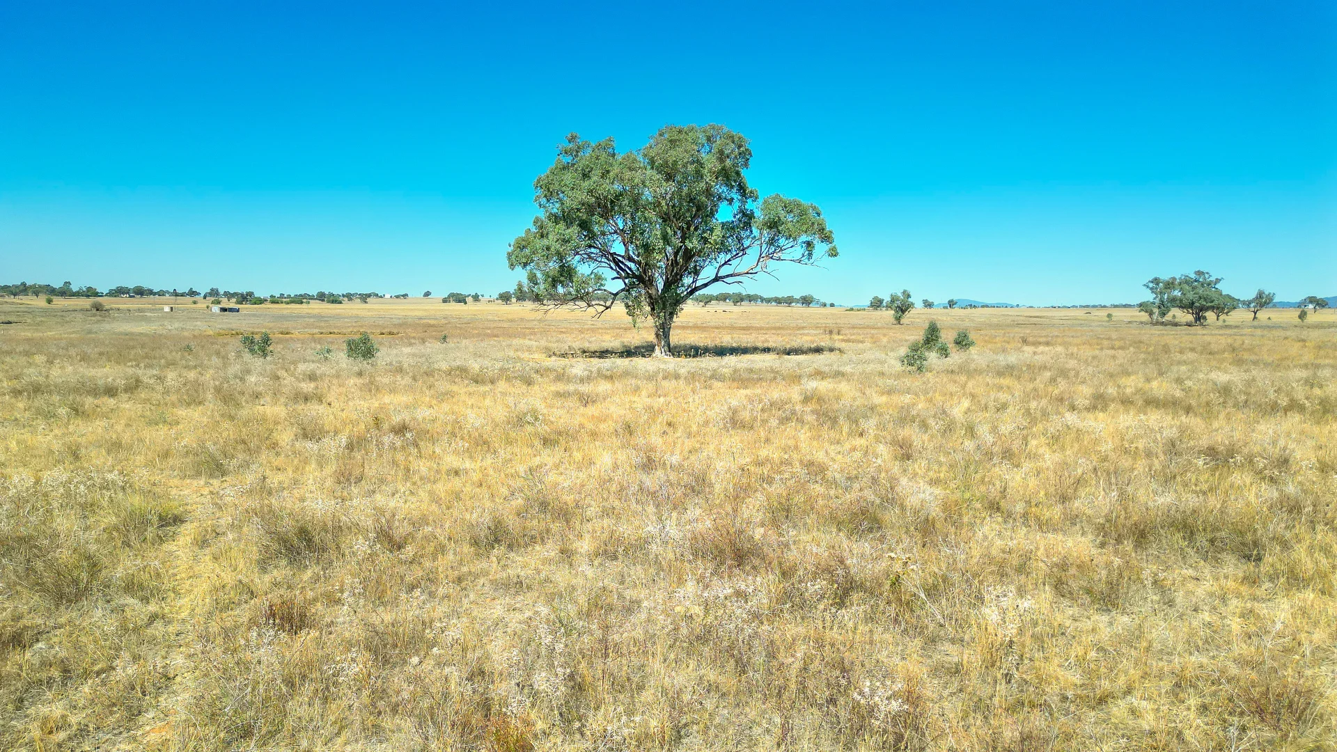 Additional image 17 of 123 New Winton Road, Tamworth NSW 2340