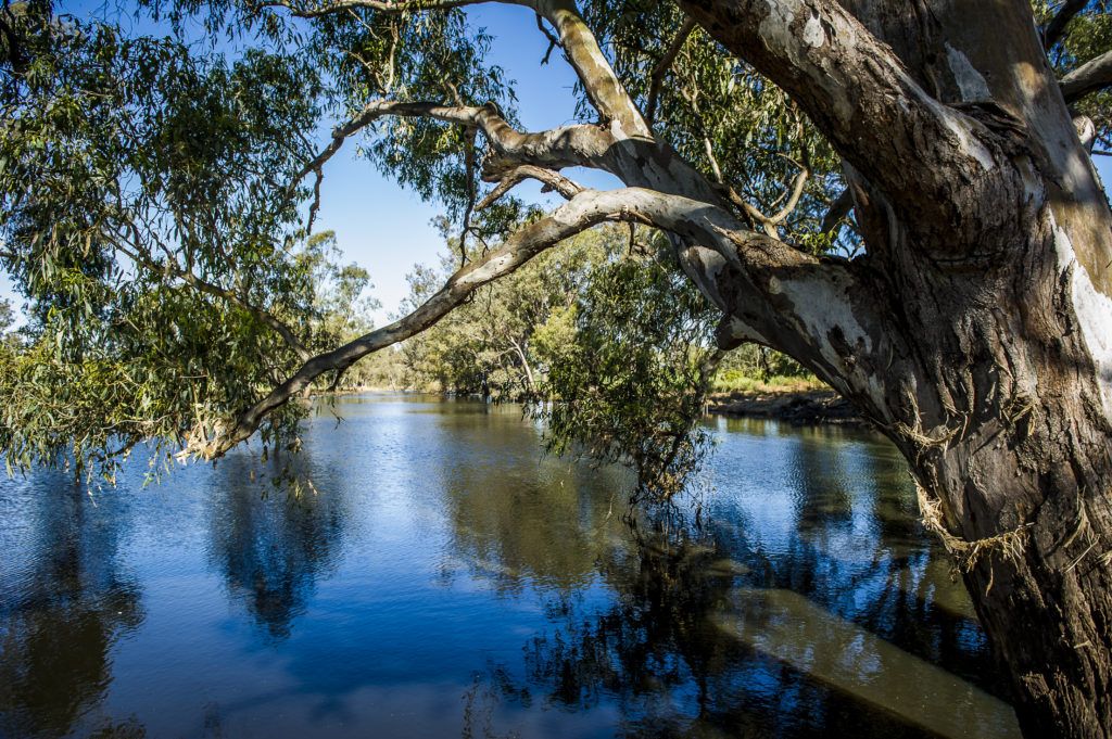 Condobolin NSW 2877, Image 0