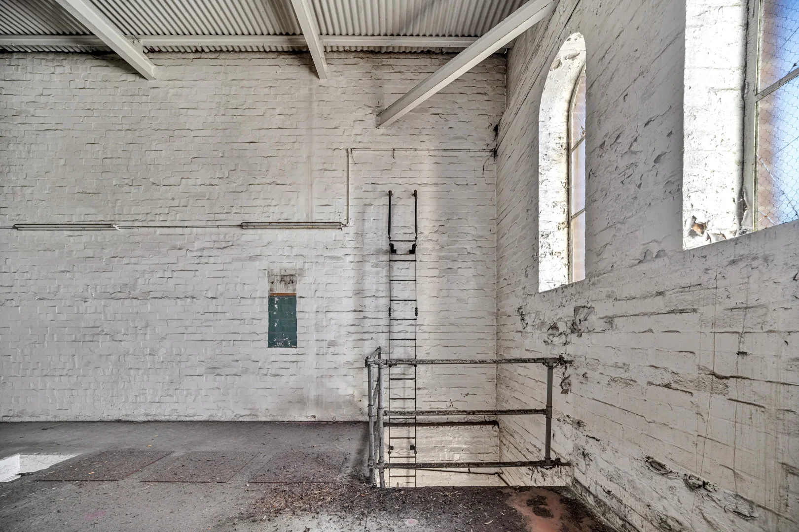 Image 4