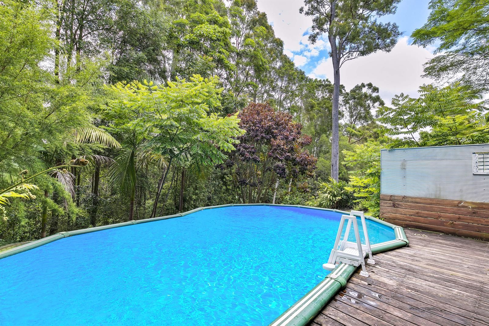 36 Dungannon Court, Buderim QLD 4556, Image 2