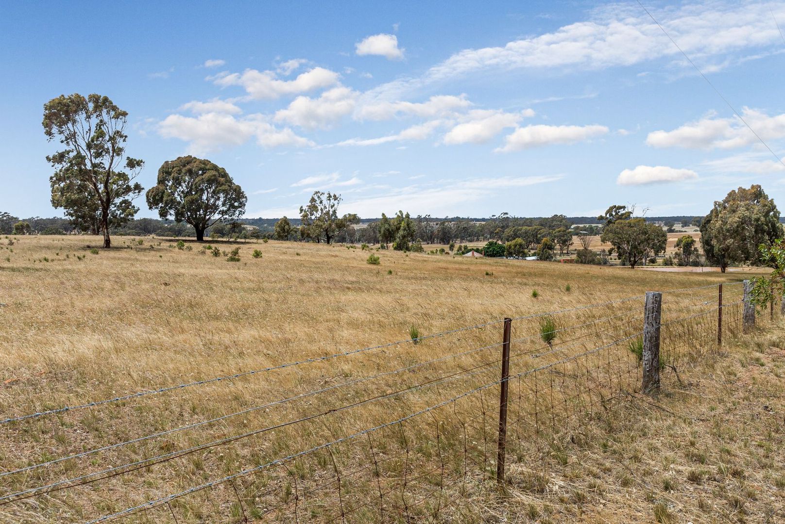 Lot 3 Stewart Road, Eppalock VIC 3551, Image 2