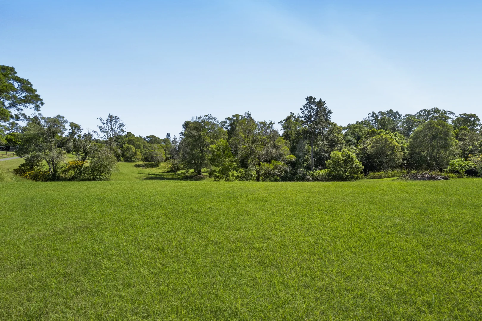 Image 37