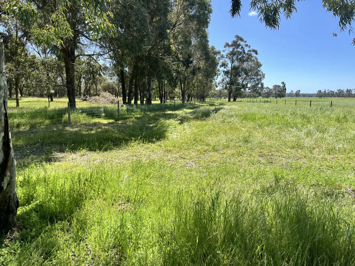 Additional image 8 of Proposed Lot 241 Downs Road, Ludlow WA 6280