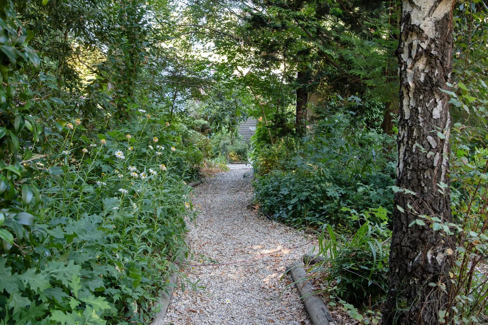 Image 43
