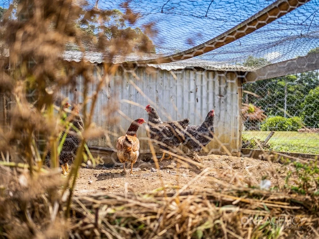 Additional image 32 of 444 Hardmans Road, Mella TAS 7330