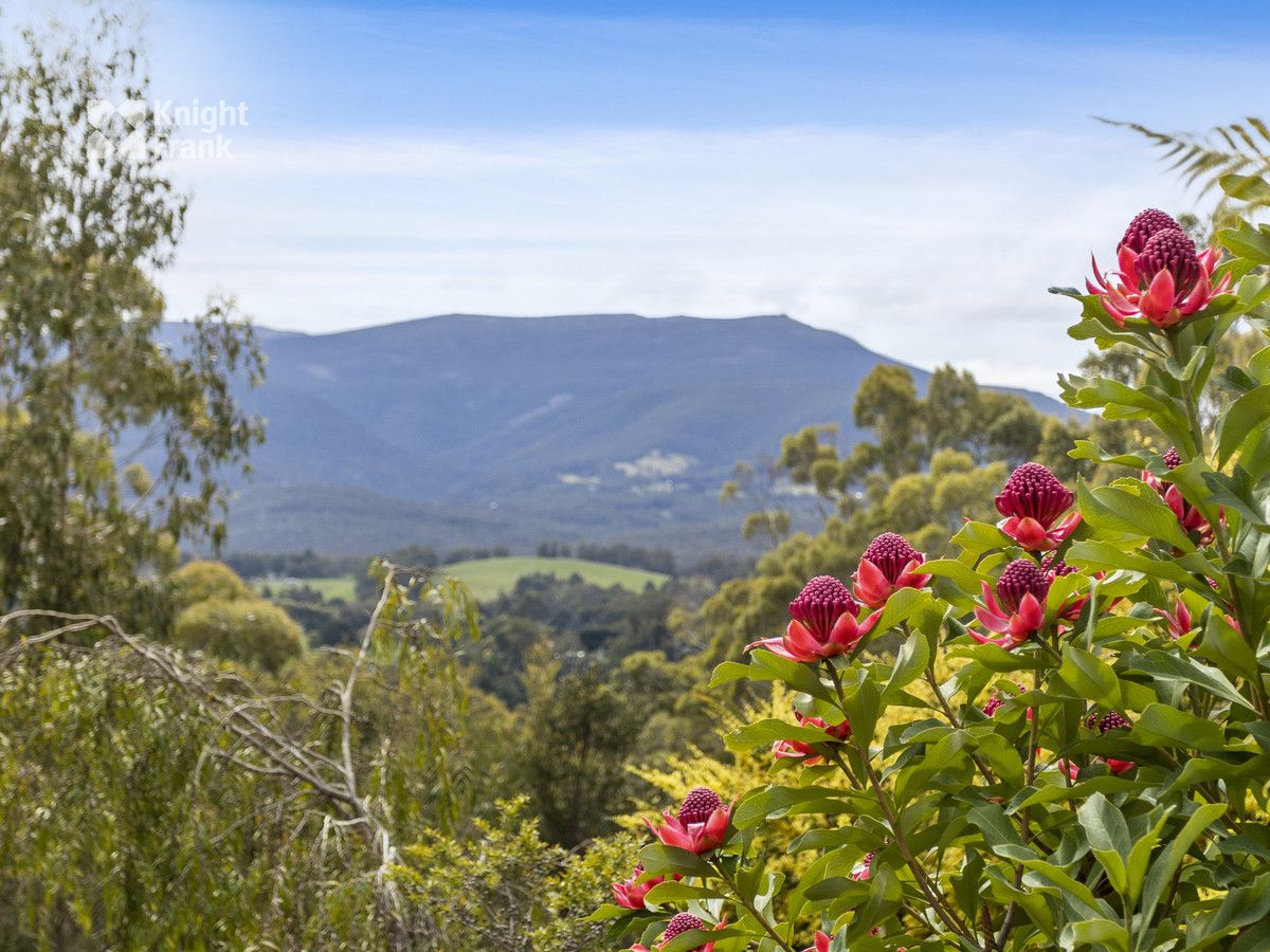 80 Mountain Road, Allens Rivulet TAS 7150, Image 2