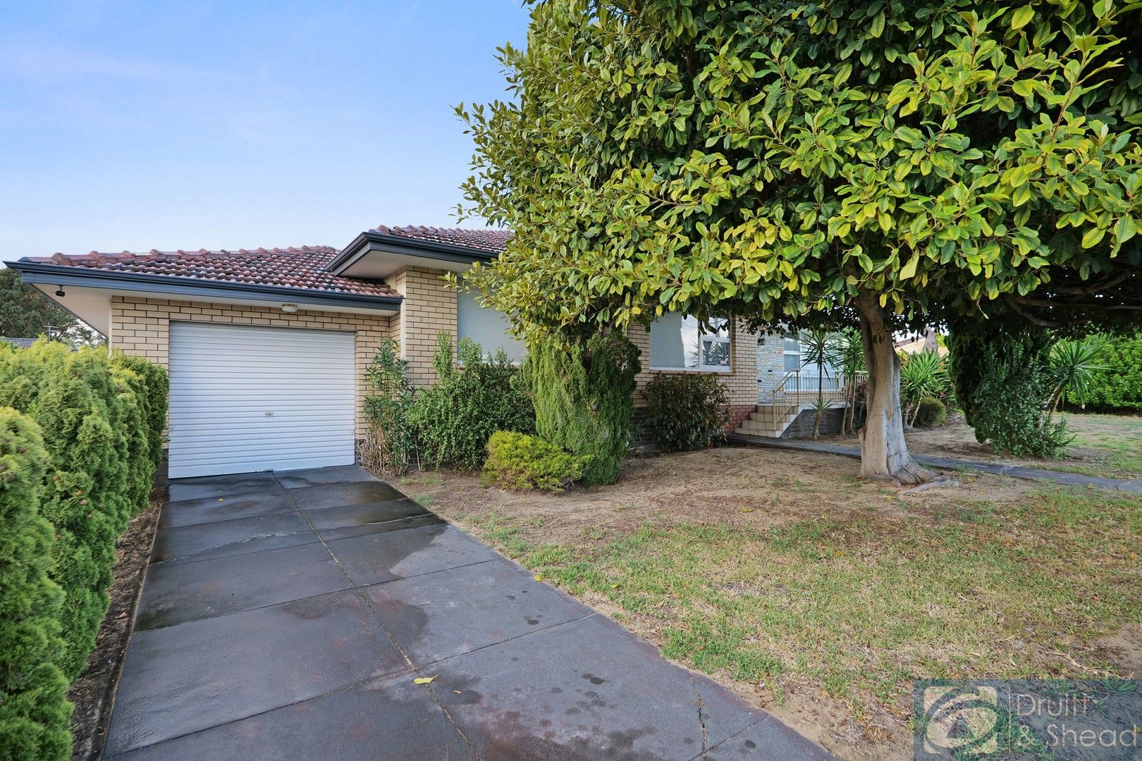 343 Odin Drive, Balcatta WA 6021, Image 1