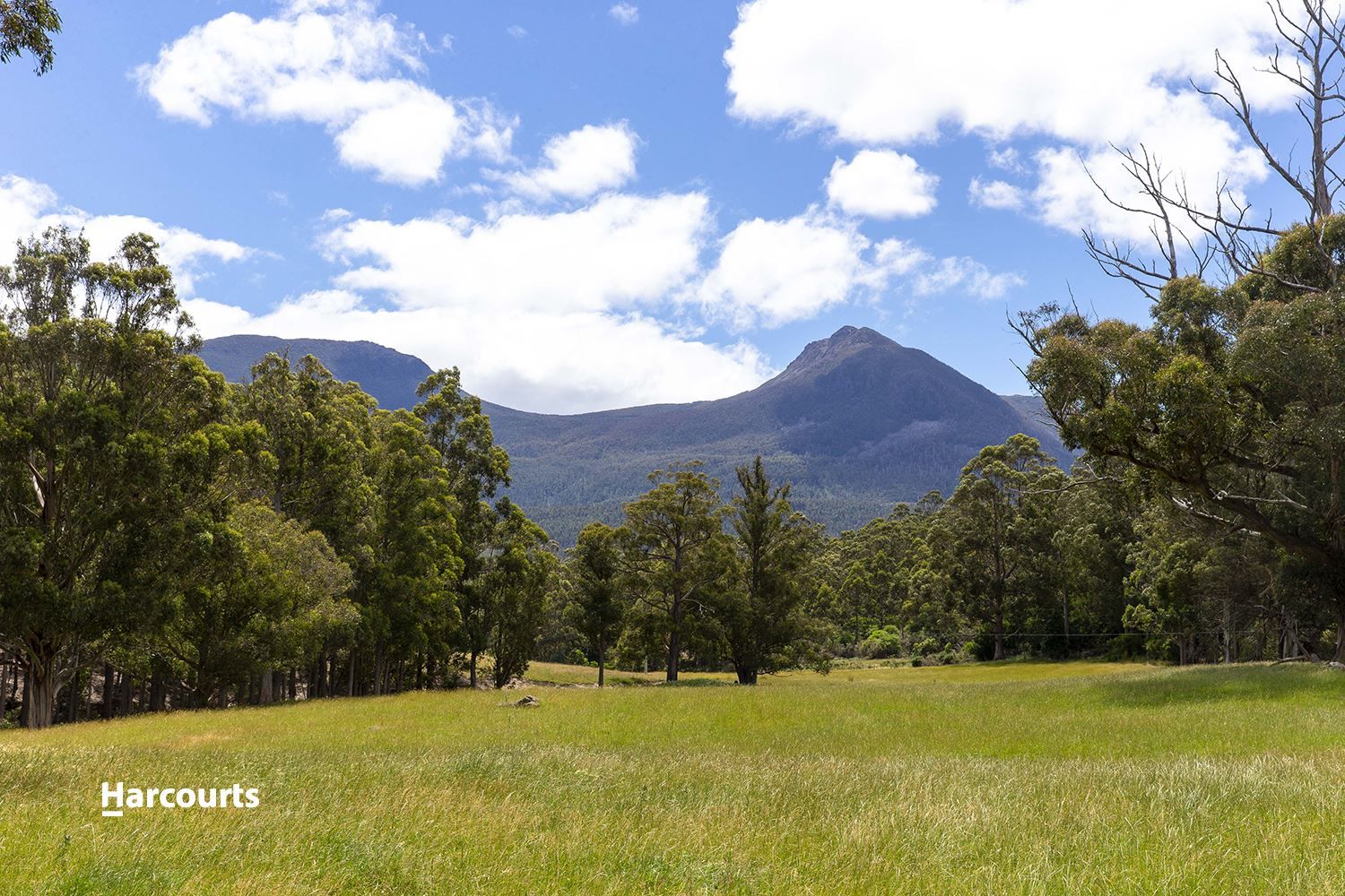 Lot 4 Jordans Road, Mountain River TAS 7109, Image 0