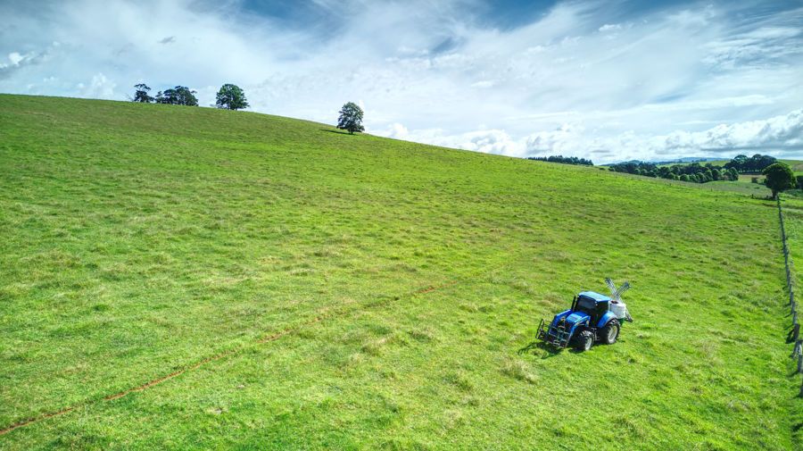 Dorrigo NSW 2453, Image 0