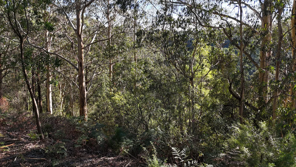 Image 18