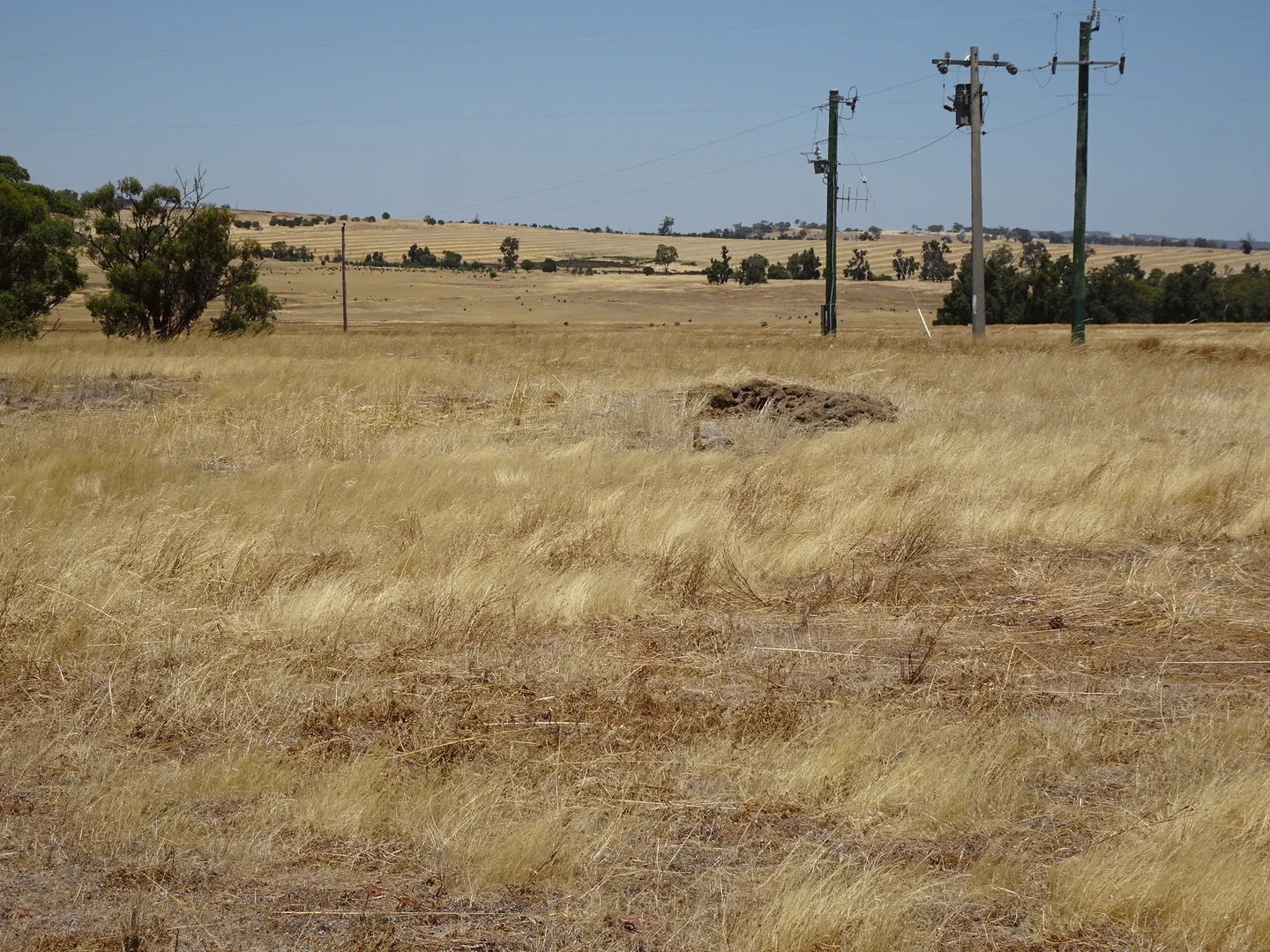 Image 6