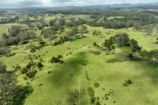 Picture of 355 Doyles River Road, ELANDS NSW 2429