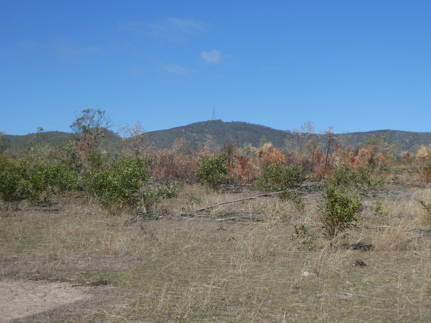 Golden Fleece QLD 4621, Image 2