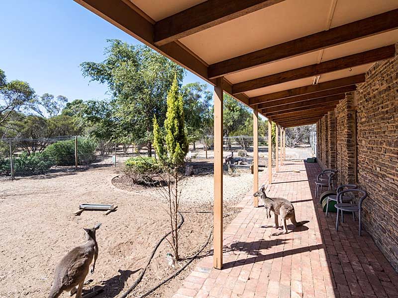 4138 Old Princes Hwy, Murray Bridge SA 5253, Image 0