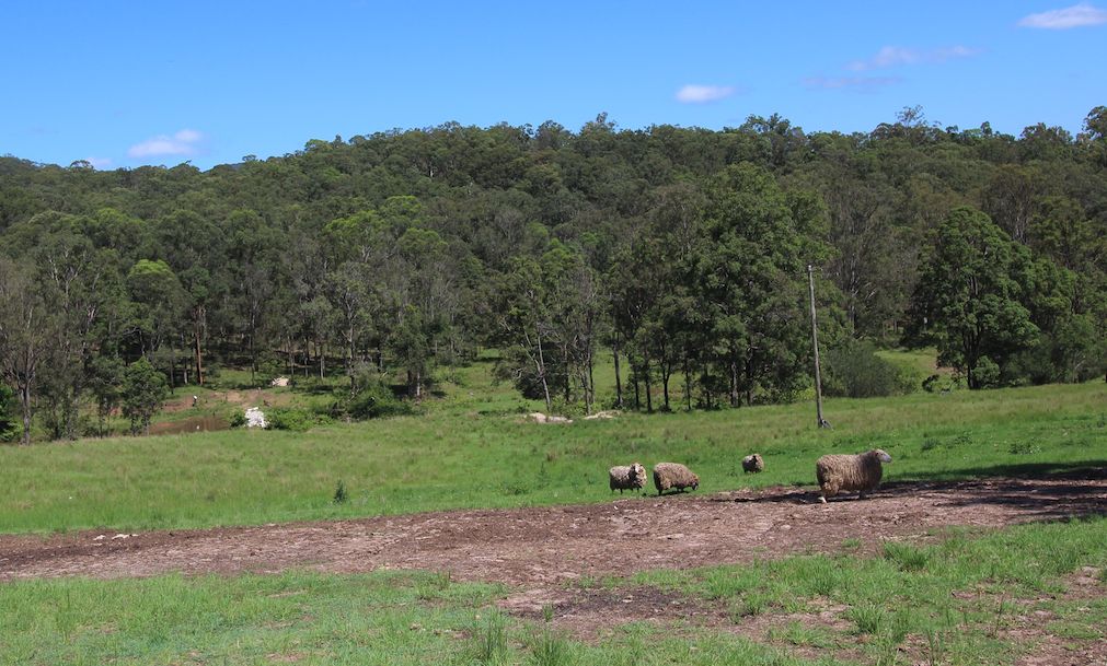 53153 Delaney Creek Road, Delaneys Creek QLD 4514 House for Sale