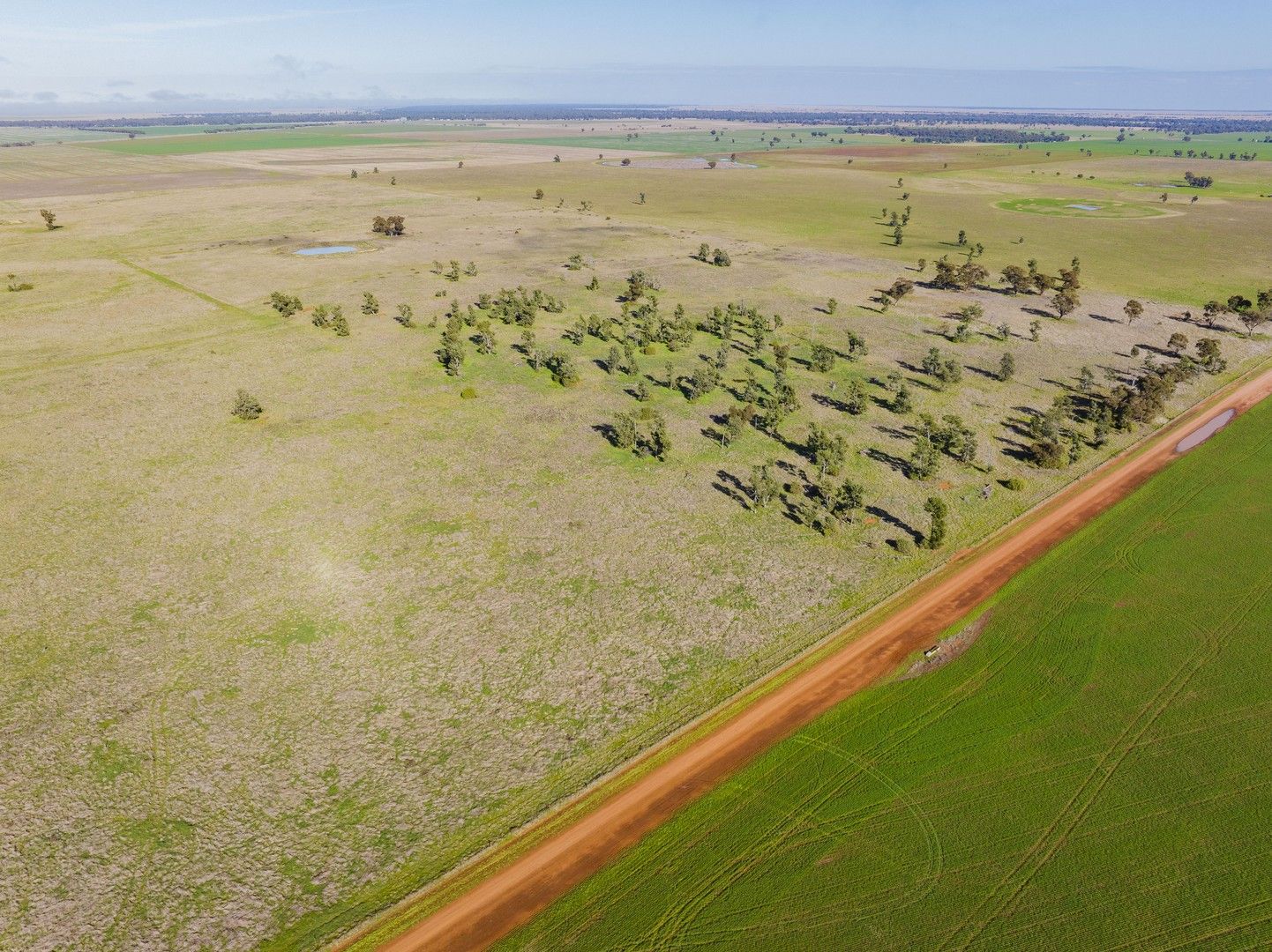 Newell Highway, Narrandera NSW 2700, Image 0