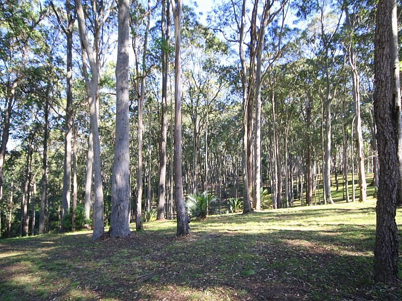 93 Old Highway, Narooma NSW 2546, Image 2